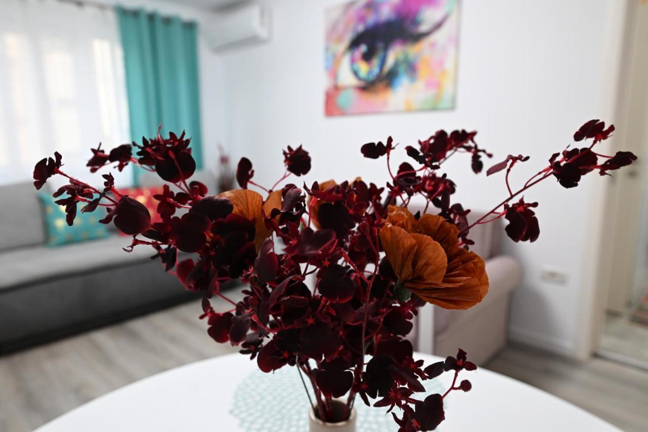 L&R Boutique Apartment Otelu Rosu Экстерьер фото