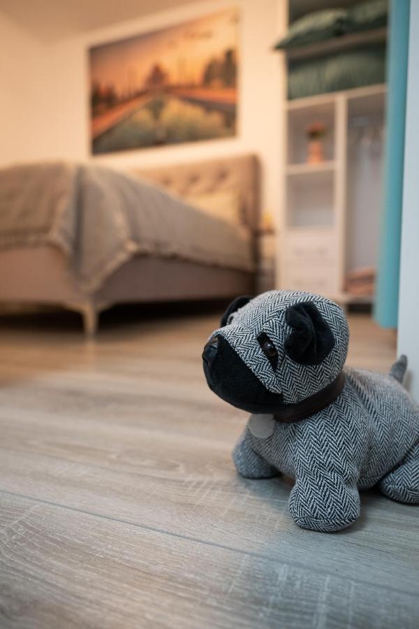L&R Boutique Apartment Otelu Rosu Экстерьер фото